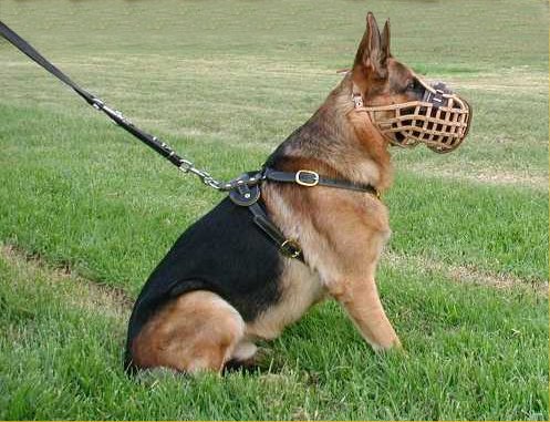  leather dog muzzle for German Shepherd